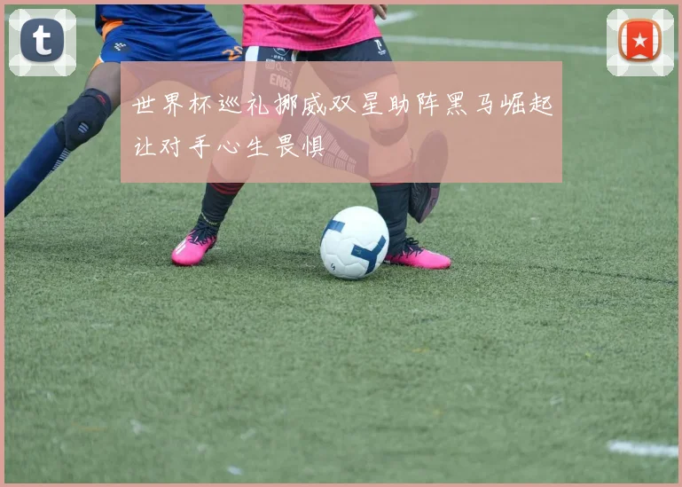 世界杯巡礼挪威双星助阵黑马崛起让对手心生畏惧